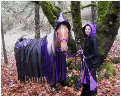 halloween witch and her beautiful horse